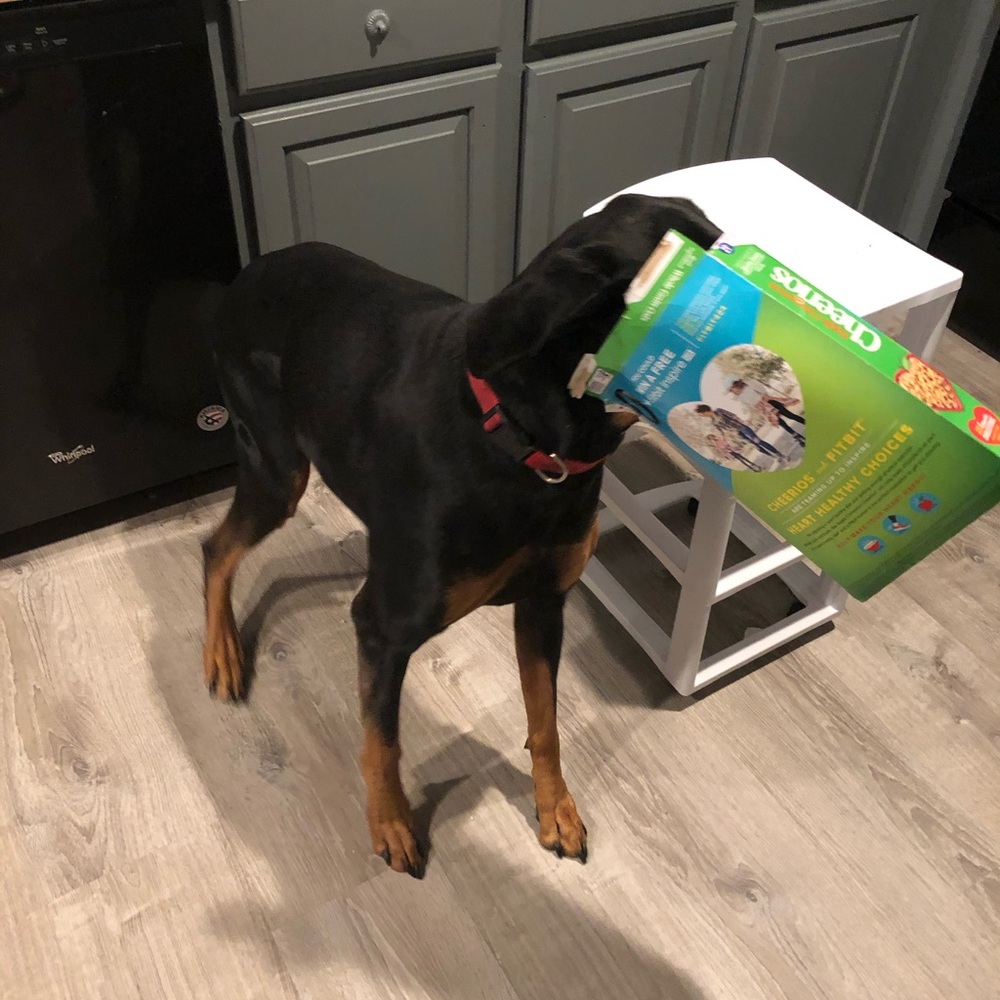 Meet your Posher, Kenny